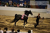 08r12_2489 thumbnail