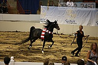 08r12_2490 thumbnail