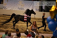 08r12_2491 thumbnail