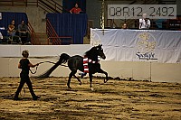 08r12_2492 thumbnail