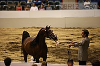 08r12_2497 thumbnail