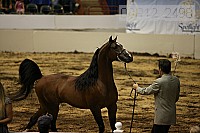 08r12_2498 thumbnail