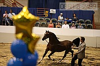 08r12_2499 thumbnail
