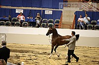 08r12_2500 thumbnail
