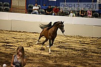 08r12_2501 thumbnail