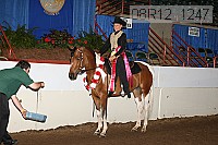 08r12_1247 thumbnail