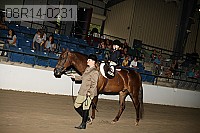 08r14-0231 thumbnail