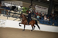 08r14-0338 thumbnail