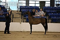 08r14-0715 thumbnail