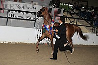 08r14-0830 thumbnail