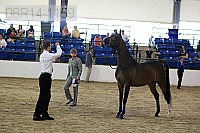 08r14-1159 thumbnail