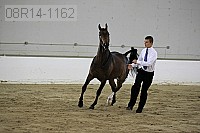 08r14-1162 thumbnail