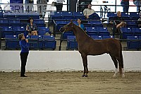 08r14-1164 thumbnail