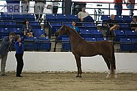 08r14-1165 thumbnail