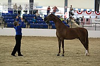 08r14-1168 thumbnail