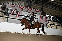 08r14-1335 thumbnail