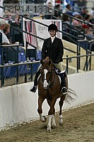 08r14-1338 thumbnail