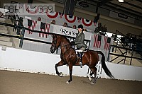 08r14-1339 thumbnail