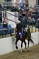 08r14-1346 thumbnail