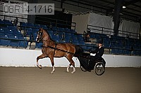 08r14-1716 thumbnail
