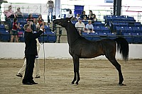 08r14-2123 thumbnail