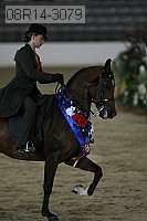 08r14-3079 thumbnail