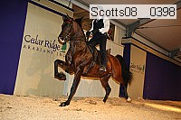 scotts08__0398 thumbnail