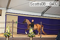 scotts08__0432 thumbnail