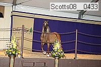 scotts08__0433 thumbnail