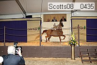 scotts08__0435 thumbnail