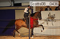 scotts08__0436 thumbnail