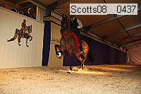 scotts08__0437 thumbnail