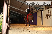 scotts08__0438 thumbnail