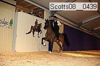scotts08__0439 thumbnail