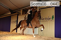 scotts08__0440 thumbnail