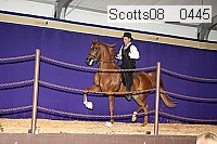 scotts08__0445 thumbnail
