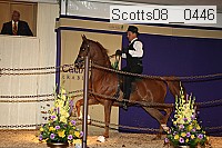 scotts08__0446 thumbnail