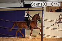 scotts08__0447 thumbnail