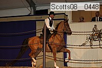 scotts08__0448 thumbnail