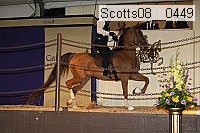 scotts08__0449 thumbnail