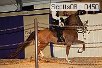 scotts08__0450 thumbnail