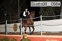 scotts08__0584 thumbnail