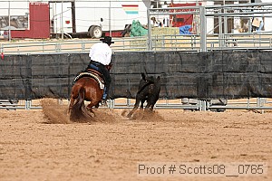 scotts08__0765 thumbnail