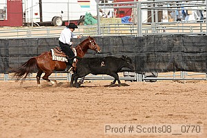 scotts08__0770 thumbnail