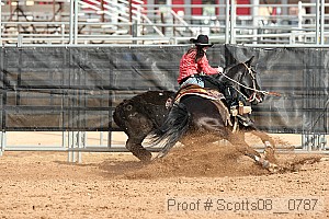 scotts08__0787 thumbnail