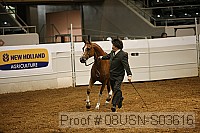 08usn-s03616 thumbnail
