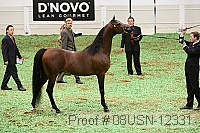 08usn-12331 thumbnail
