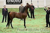 08usn-12332 thumbnail