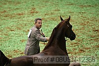 08usn-12366 thumbnail