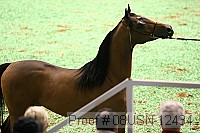 08usn-12434 thumbnail